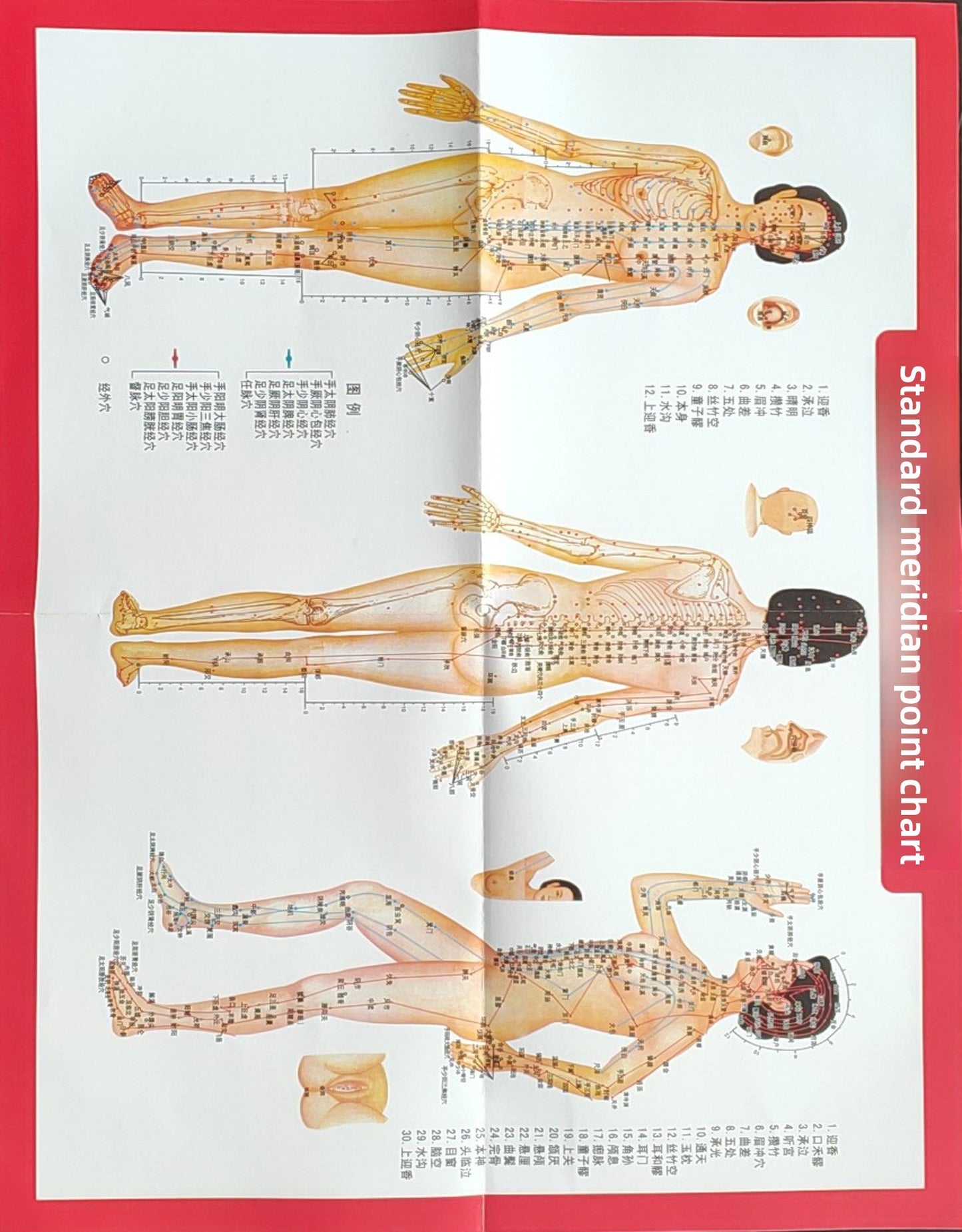Natural Resin Gua Sha Board and Muscle Pulling Stick